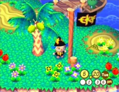 Videogame Review: ANIMAL CROSSING